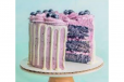 Fresh Blue Berry Cake