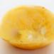 Egg Aappam