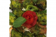 Methi Mahi Soya Chaap