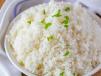 Regular Steam Rice