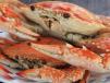 Crab
