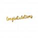 Congratulations Cake Topper - Congratulations Cake Topper