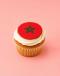 Moroccan Majesty Cupcake