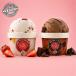 Vegan Mini Mix - Buy 2 Get 1 Free