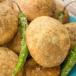 Kashta Kachori