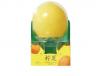 Frukti Propitious Lemon Ice Cream