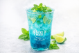Citrus Mojito