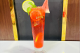 Watermelon Mojito