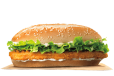 Normal Chicken Burger Sandwich
