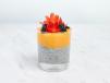 Mango Chia Pudding