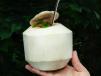 Coconut Water