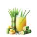Sugarcane
