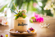 The Hamptons Tropical Coconut