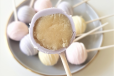 Vanilla Cake Pop