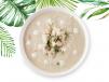 Chicken Cream Soup