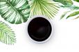 Soy Sauce