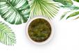 Chimichurri Dressing