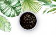 Asian Dressing