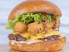 Feast Steak Beef Burger with French Fries