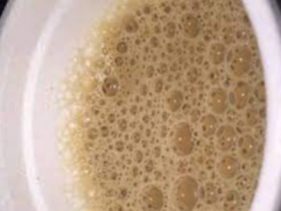 Tea Leaves Cafeteria