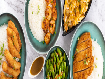 Project Katsu Bowl
